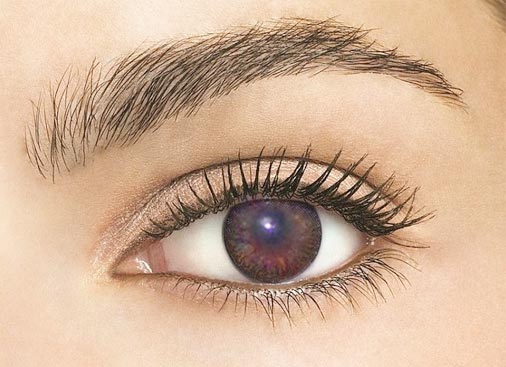 CNC(N) NF4(Edge eye)  brownNF4