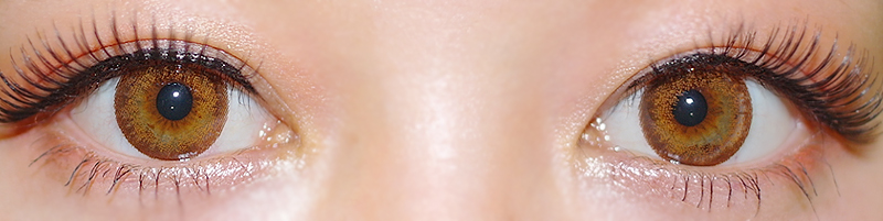 Cocojelly  BROWN